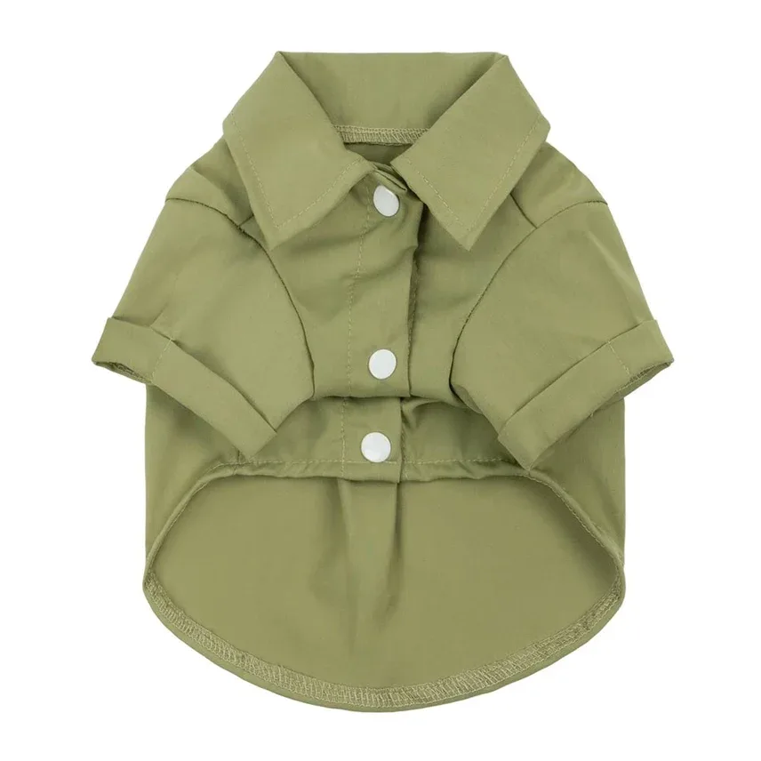 Formal Dog Collar Shirt in Olive