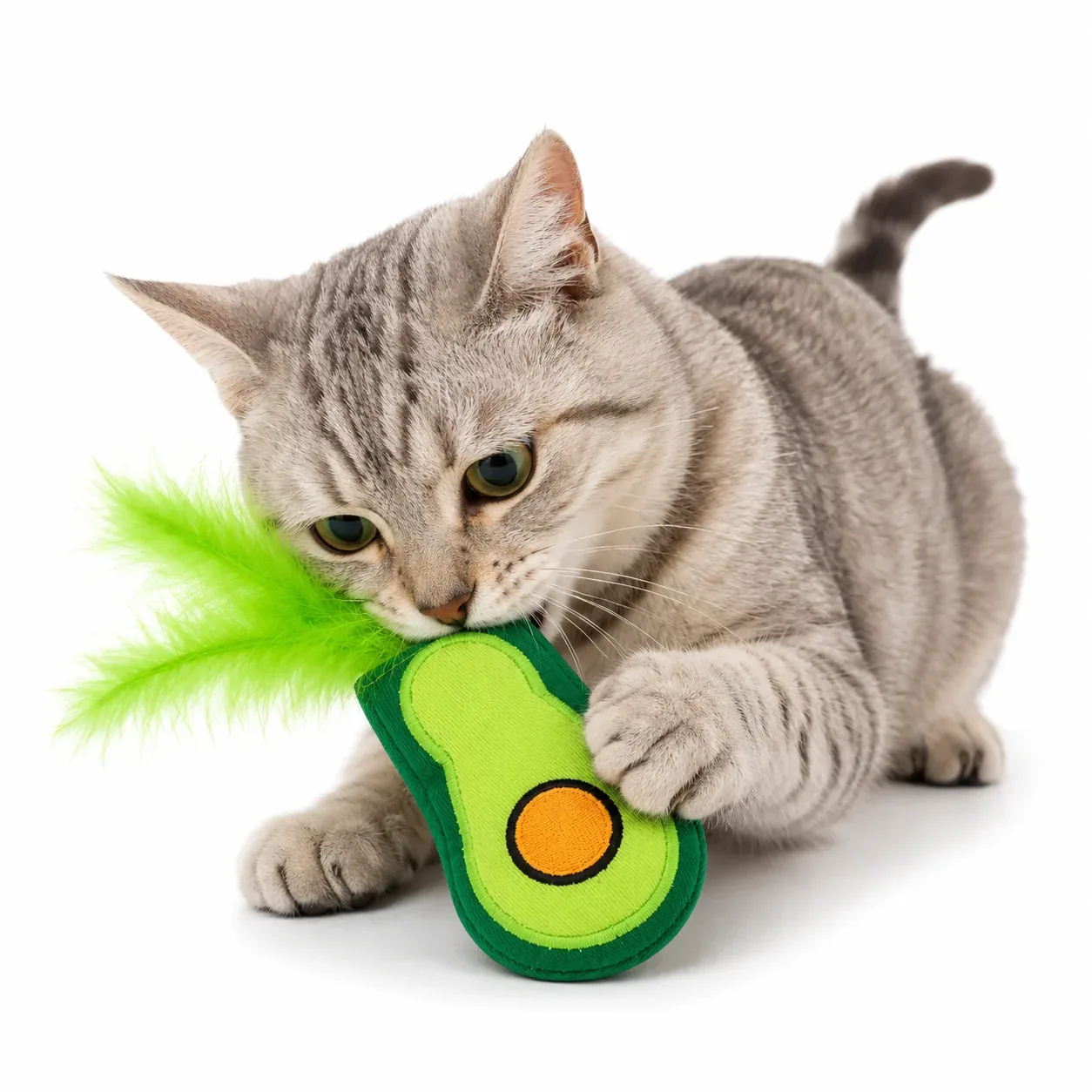 Talking Dog Club Avocado Lover 100% Catnip Toy for Cats