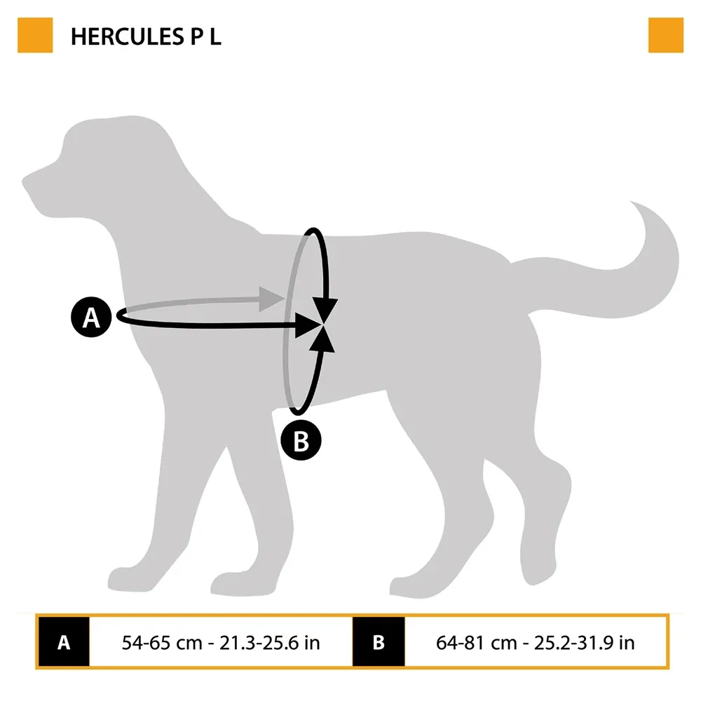 HERCULES P L - Image 2