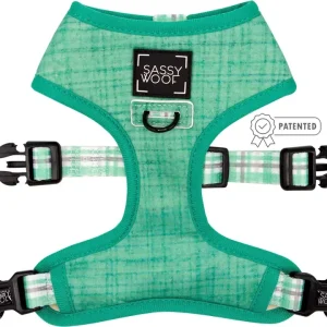 Wag Your Teal Adjustable Harness