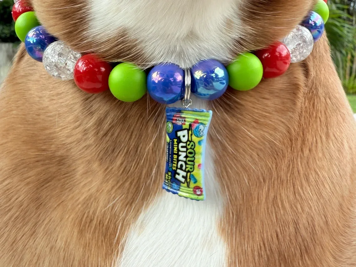 Candy Collection Pucker Up Pup! Beaded Collar - Image 2