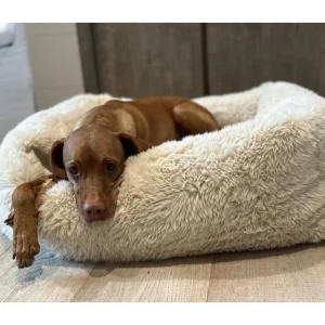 The Franklin Fluffernutter Bed