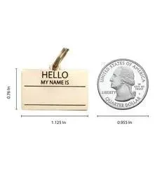 Hello My Name is Pet ID Tag in Silver - Image 2
