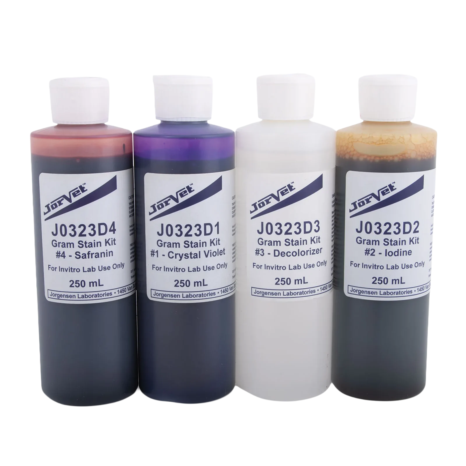 Gram Stain Kit