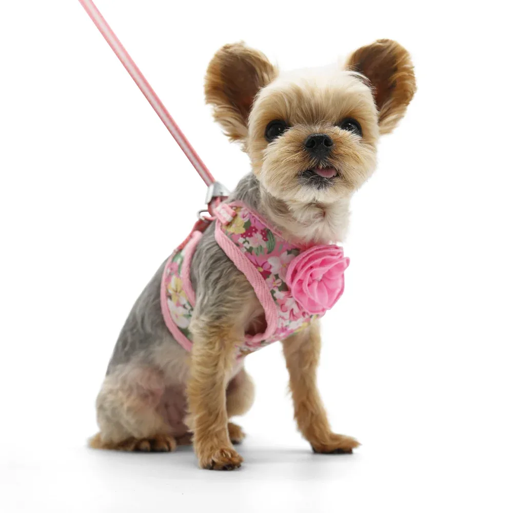 EasyGO Blossom Harness - Image 2