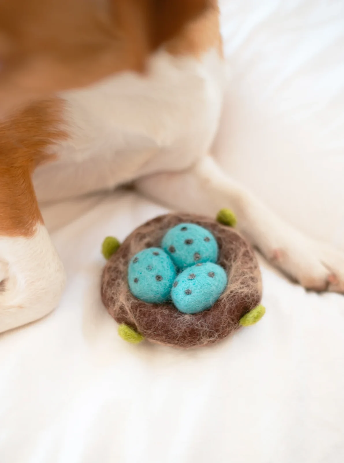 ROBIN'S NEST WOOL DOG & CAT TOY - Image 2