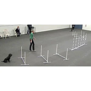 Clean Run Weave Pole Grids for Improving Footwork