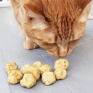 Catnip Cheese Ball Cookies