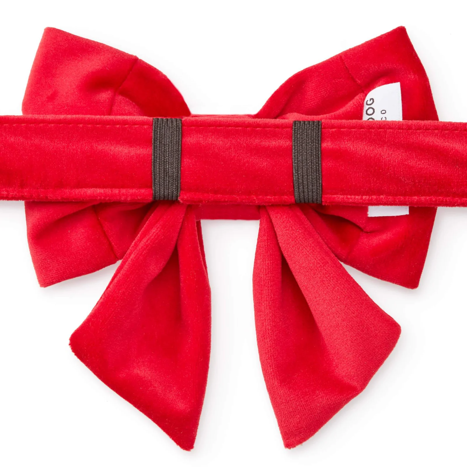 Cranberry Velvet Lady Bow Collar - Image 2