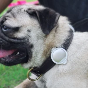 PETKIT ® 'FIT' Lightweight Water-resistant Smart Activity and Mood Monitoring Pet Dog Cat Activity Tracker Monitor