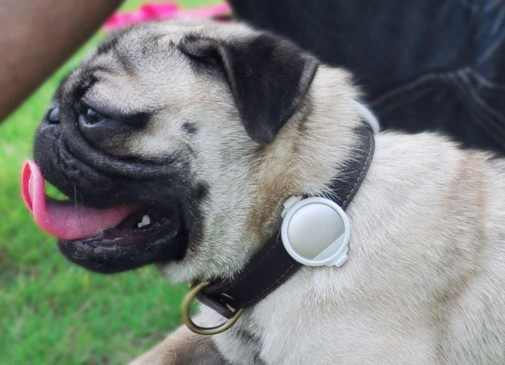 PETKIT ® 'FIT' Lightweight Water-resistant Smart Activity and Mood Monitoring Pet Dog Cat Activity Tracker Monitor