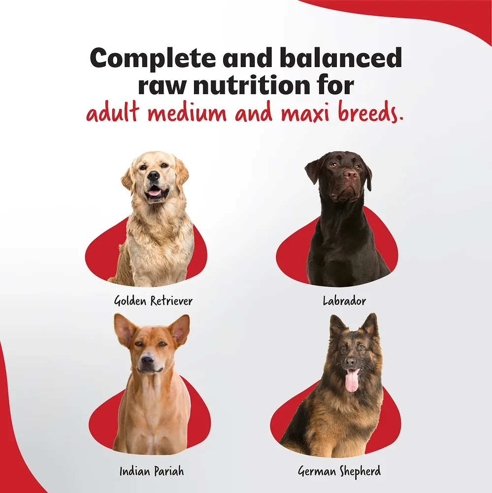 Right4Paws Ultimate Diet Medium & Maxi Adult Dog Dry Food - Image 2