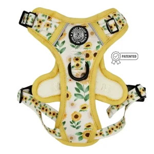 Step-in Harness - Sunflower Dreams