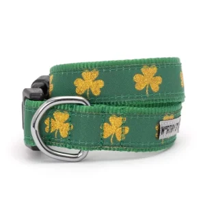 Good Luck Dog Collar & Lead