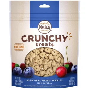 Nutro Mixed Berry Crunchy Biscuit Dog Treats - 16 oz - Case of 12