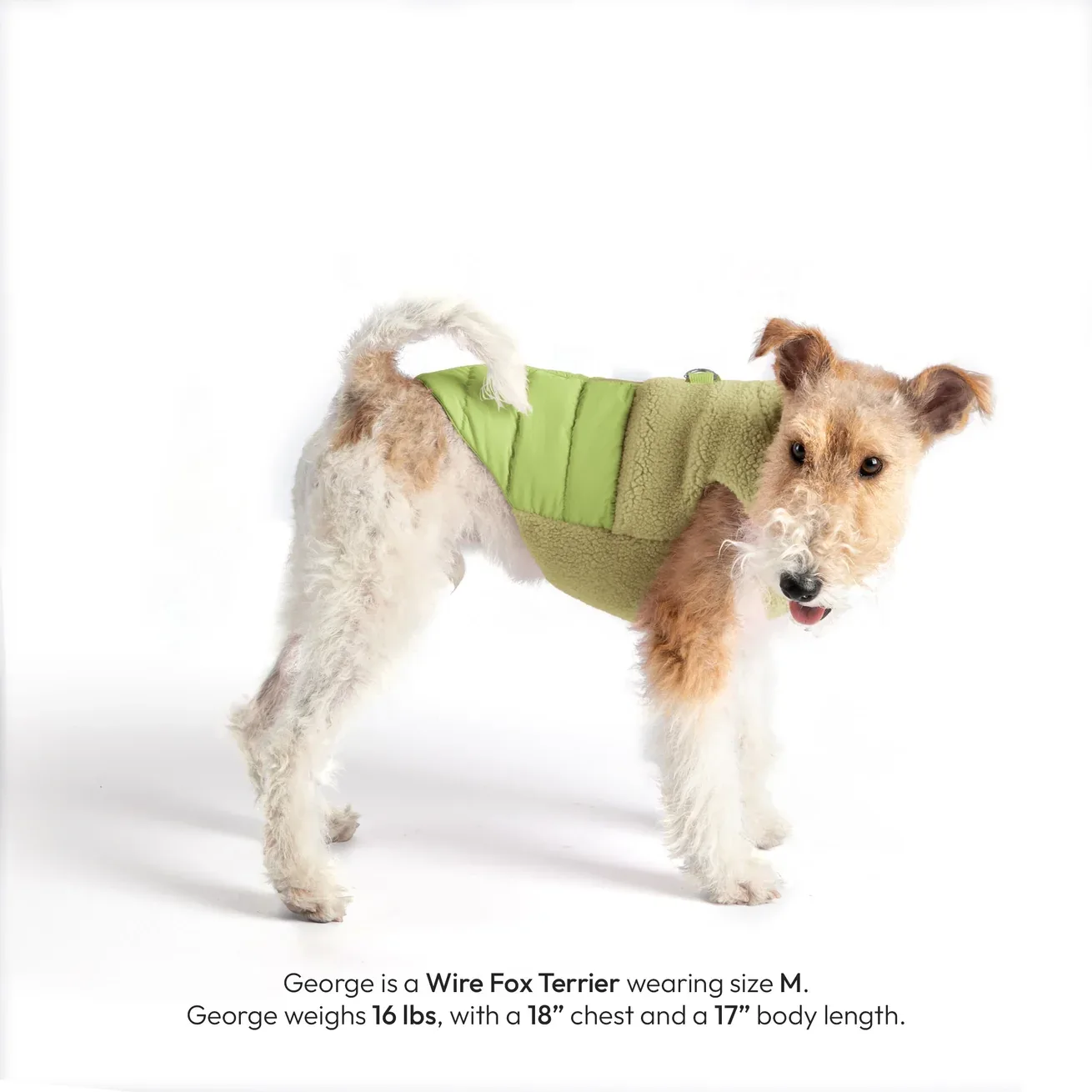 Gooby Sherpa Puffer Vest in Avocado - Image 2