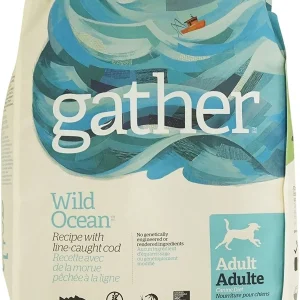 Petcurean Gather Wild Ocean Fish Dry Dog Food - 16 lb Bag