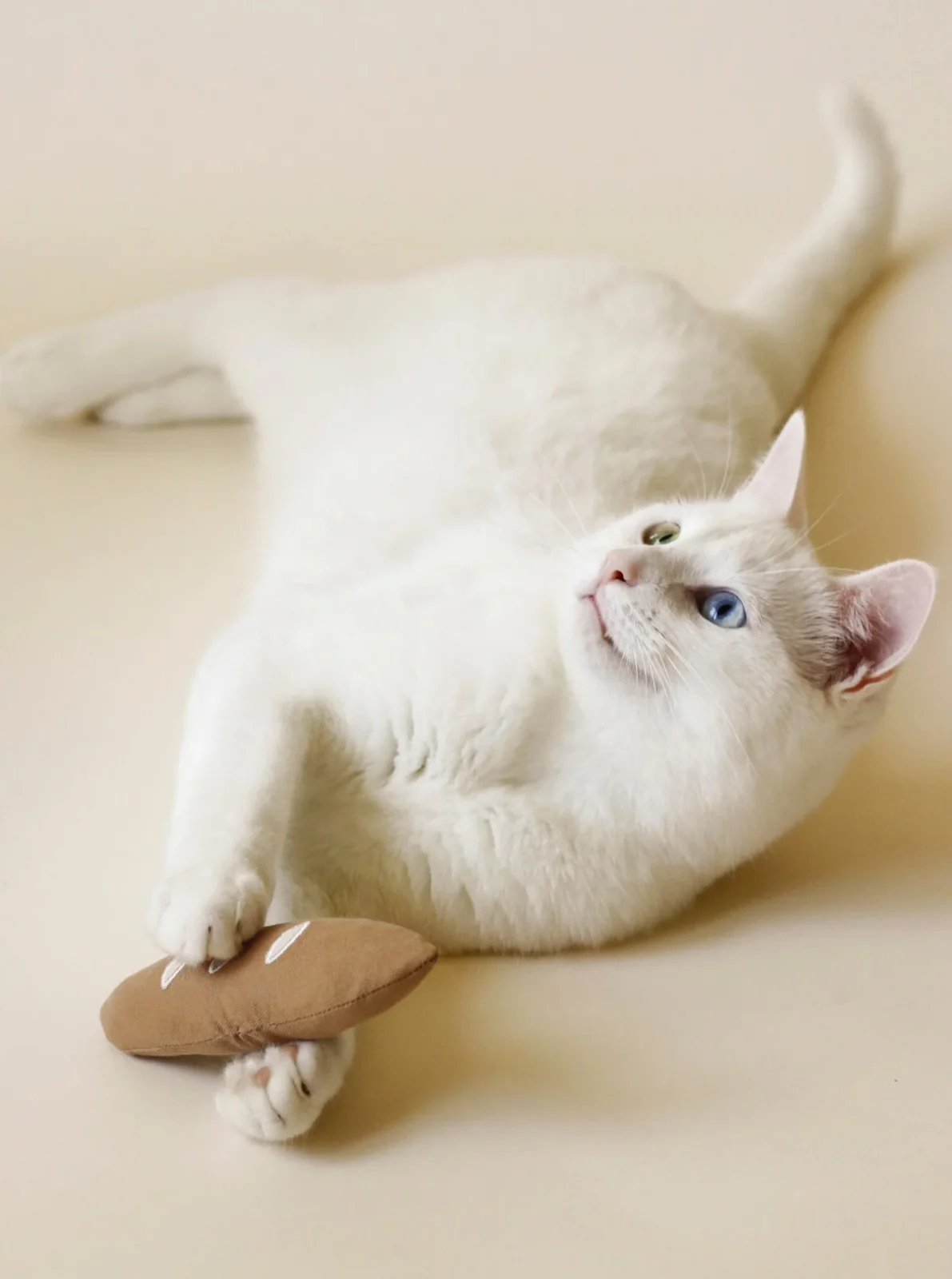 WARM BAGUETTE CATNIP TOY - Image 2