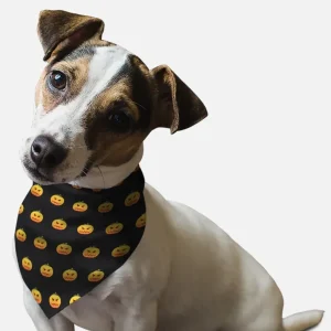 Head Full O' Pumpkin Halloween Dog Bandana by BanDoggie