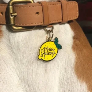 Main Squeeze Pet ID Tag