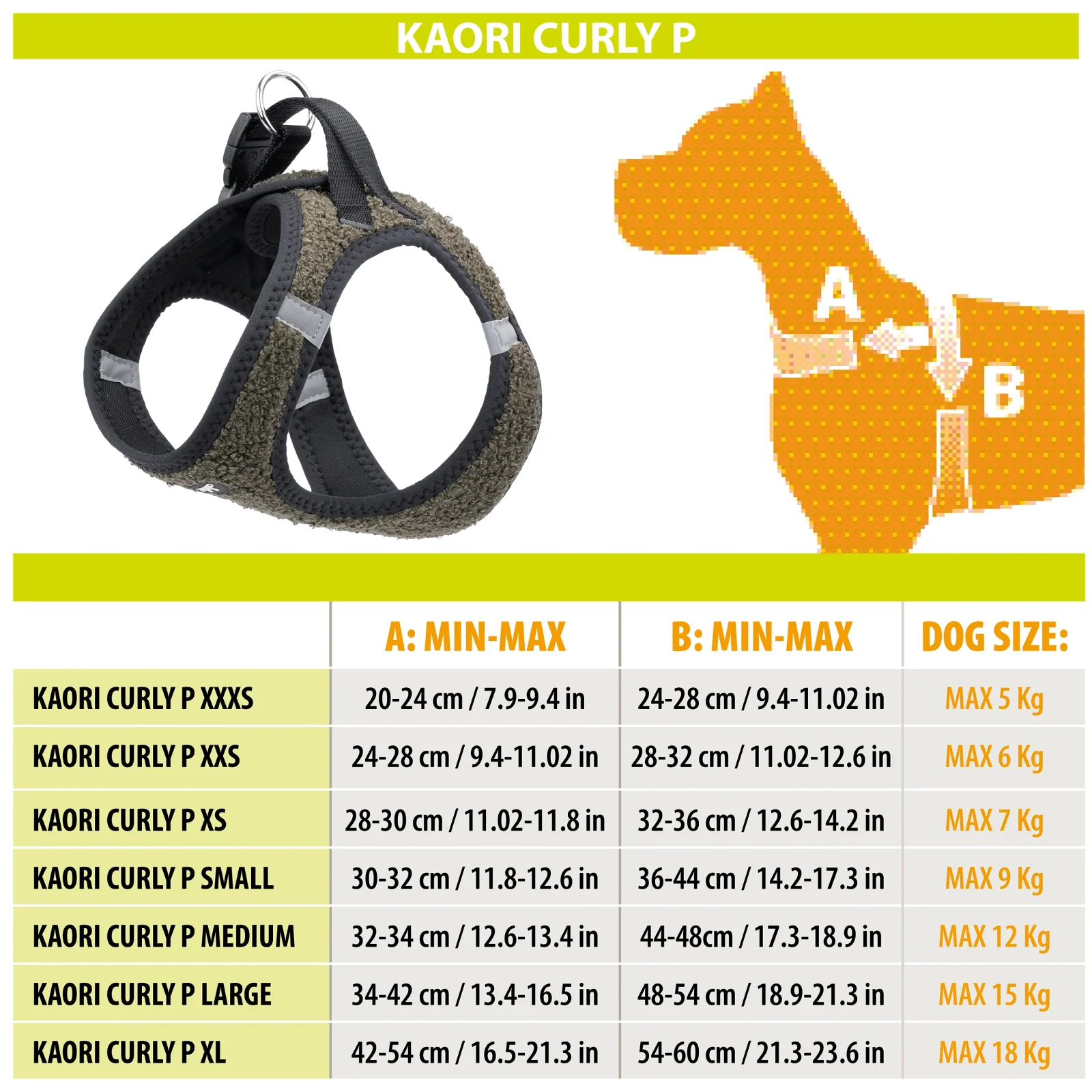 KAORY CURLY P - Image 2
