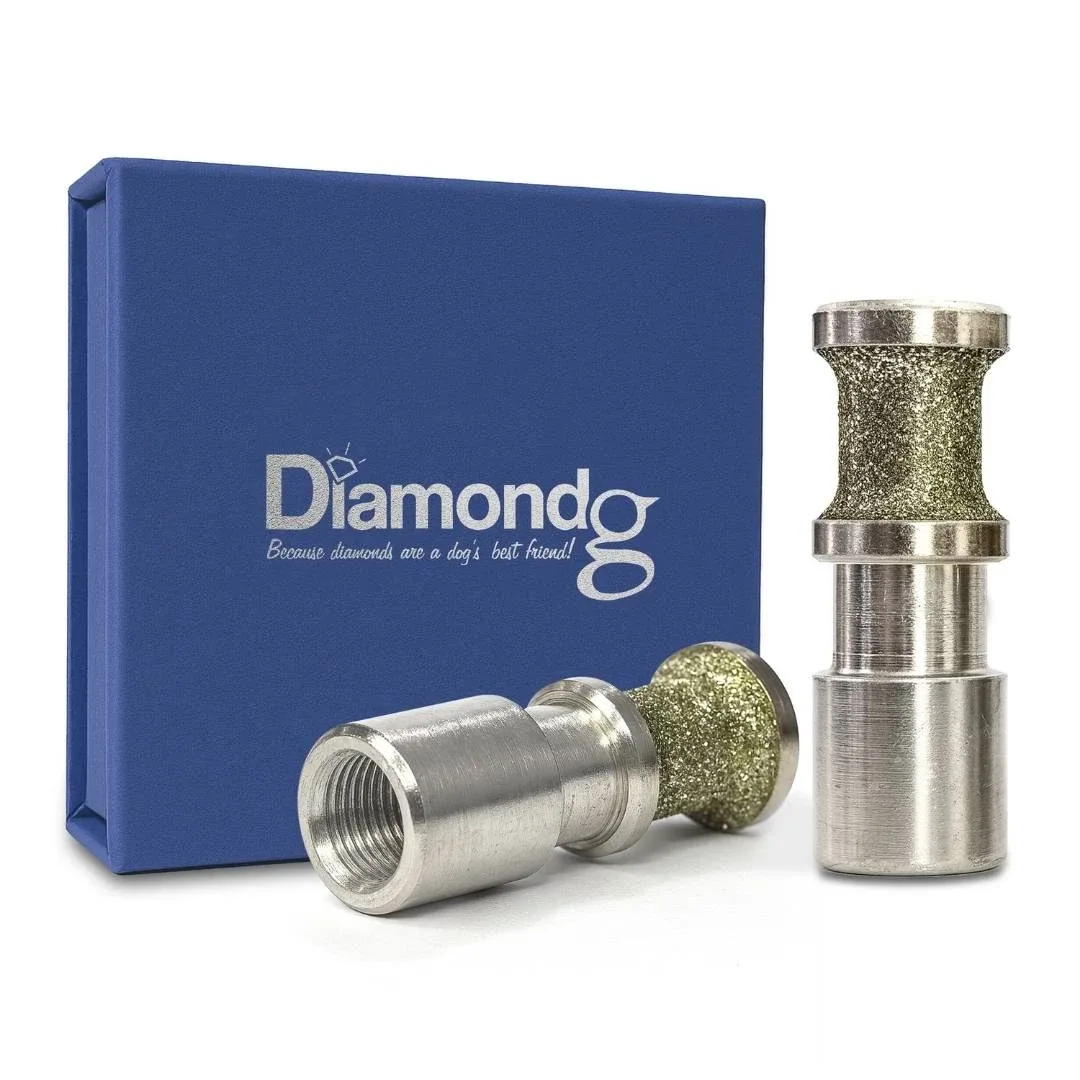 Diamondg Small Diamond Rotary Bit