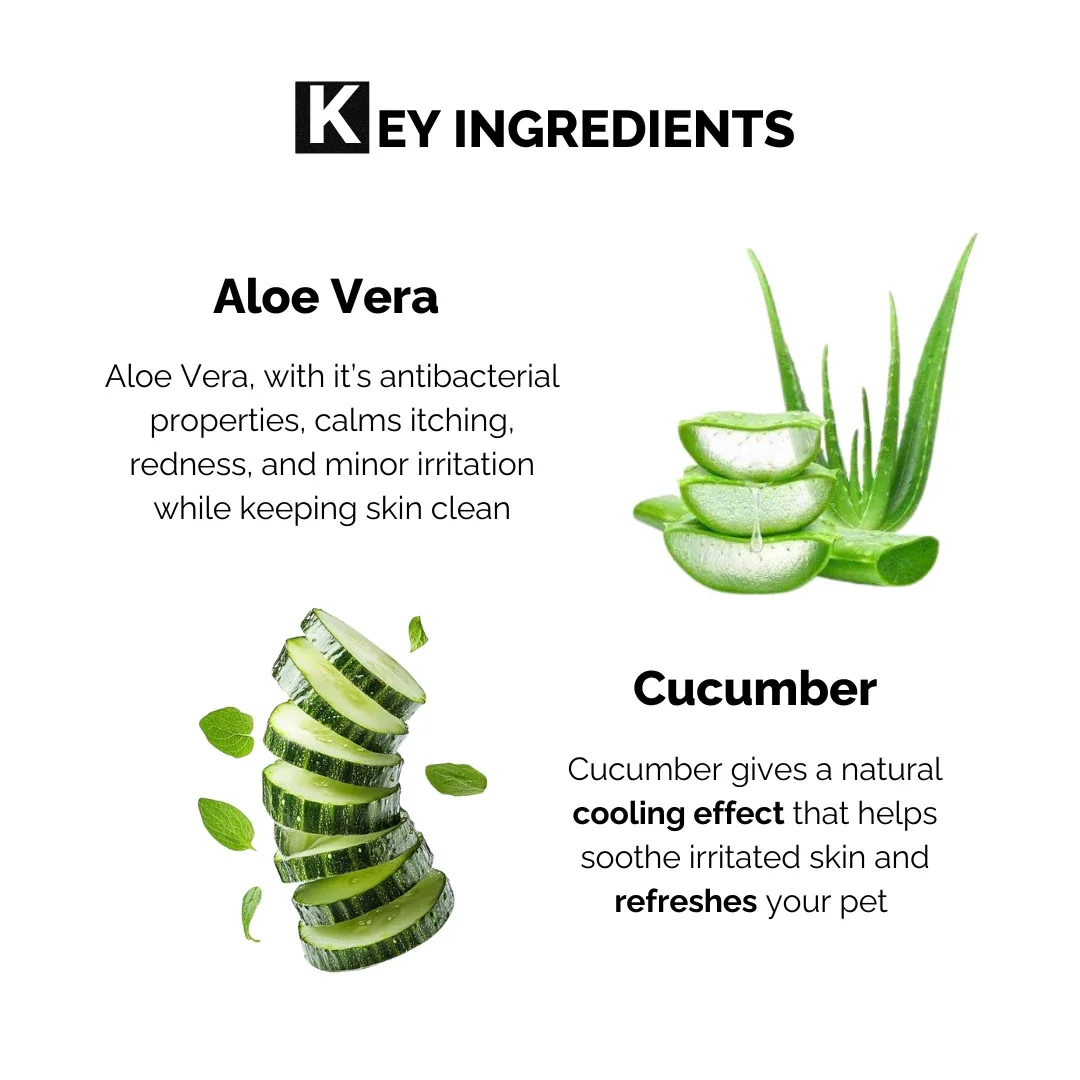 Moe Puppy Aloe Vera & Cucumber 100% Biodegradable Drema Wipes for Dogs and Cats - Image 2