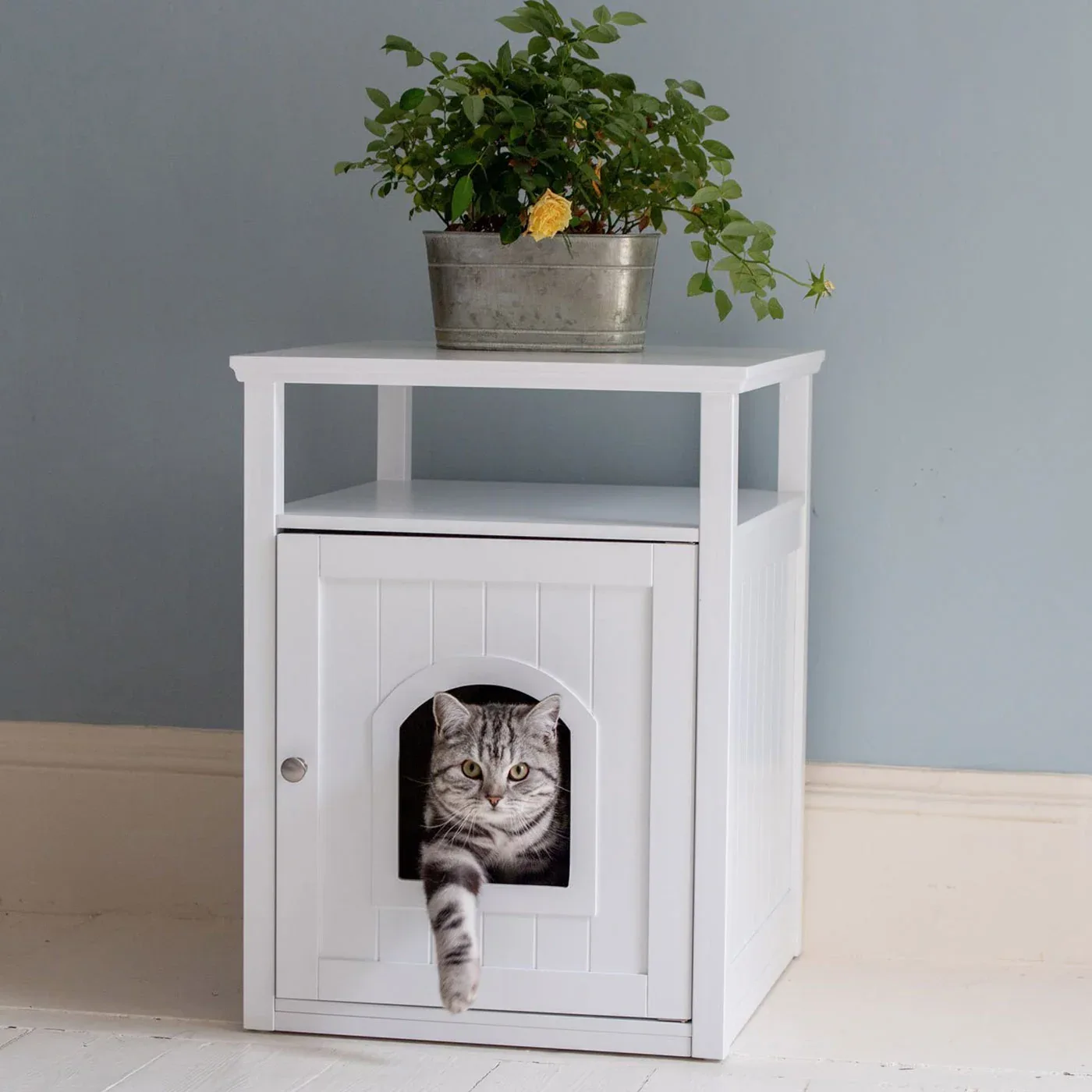 White Cat Washroom by Lords & Labradors