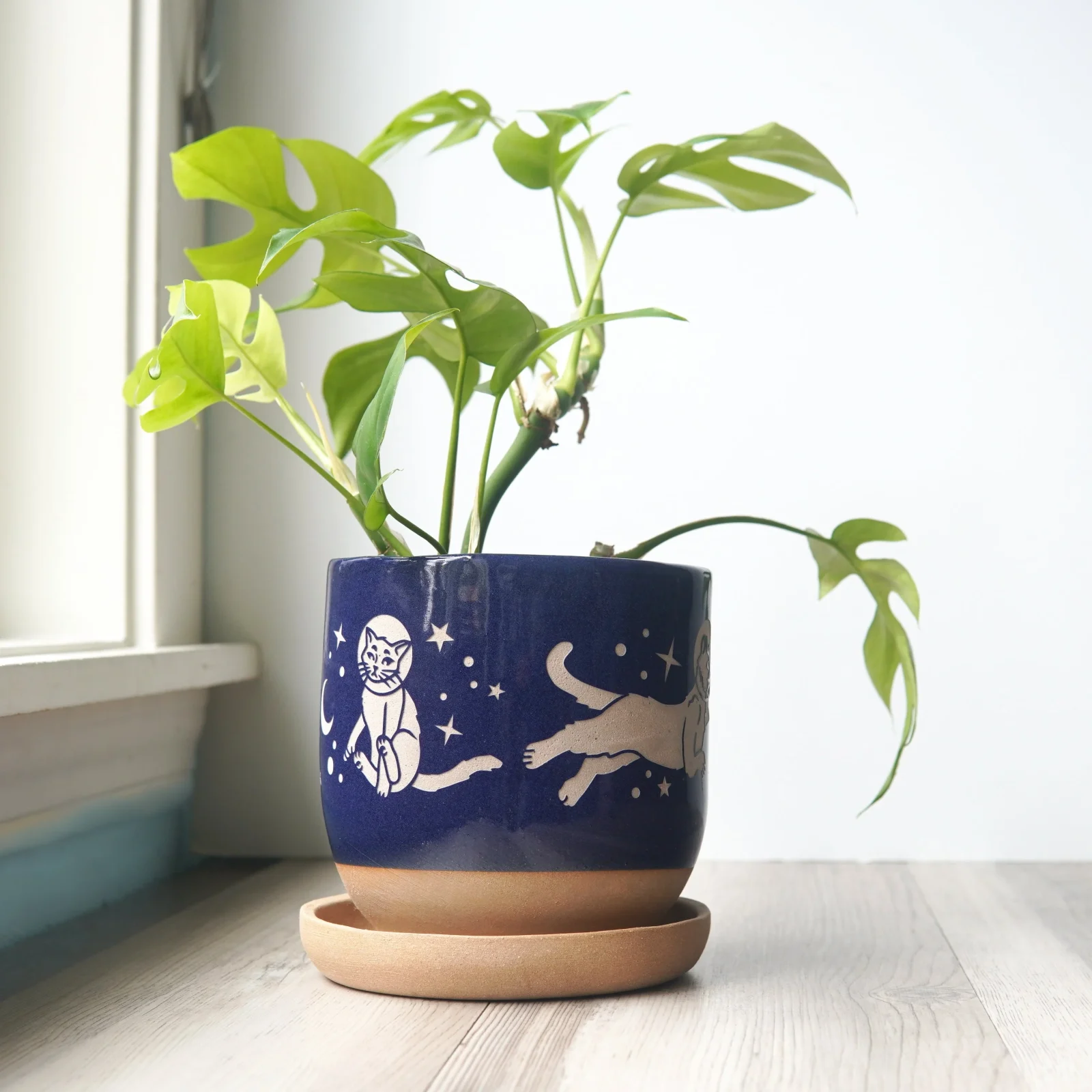 Space Cats Farmhouse Planter with Saucer - Image 2