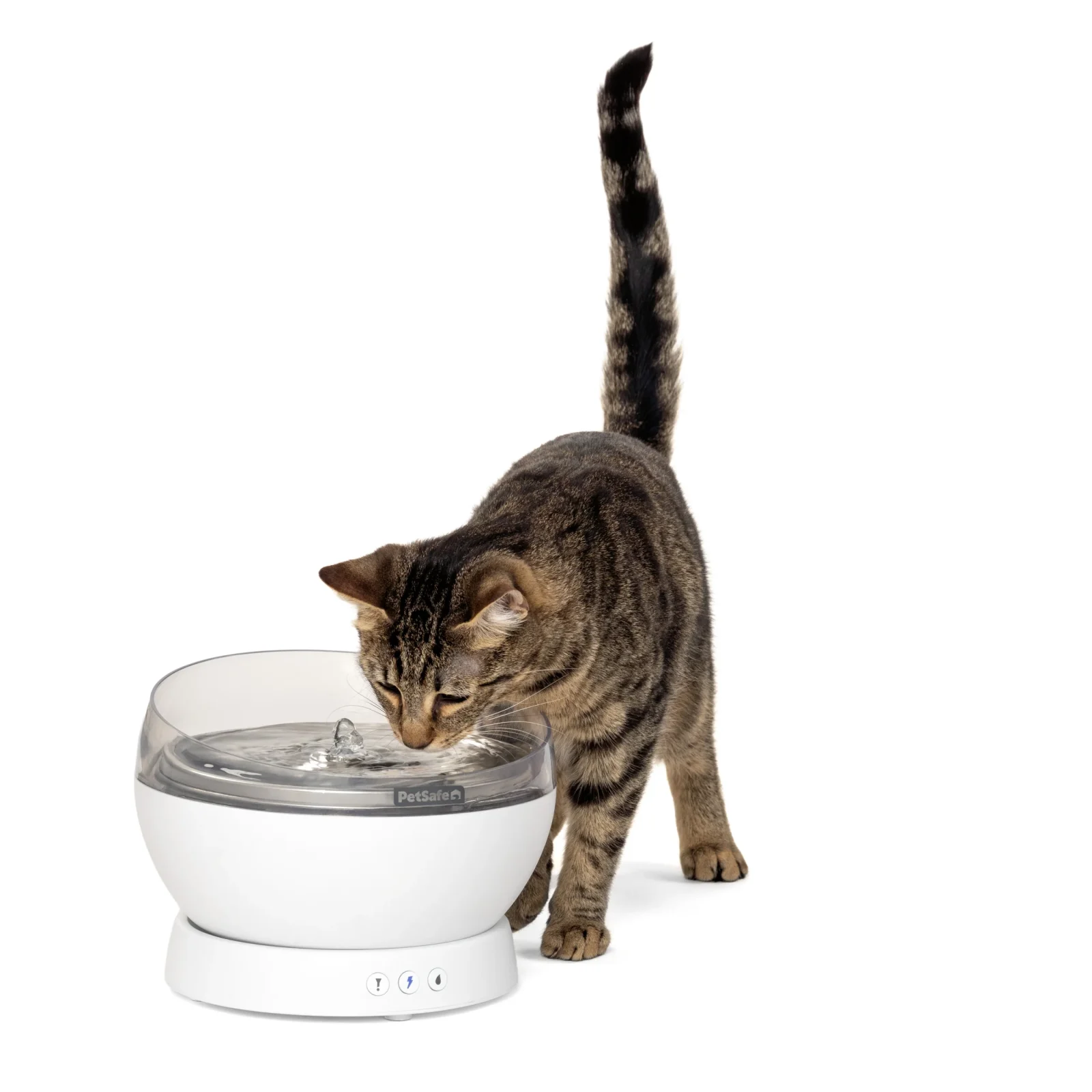 HydroSphere™ 60 oz Cordless Fountain - Image 2