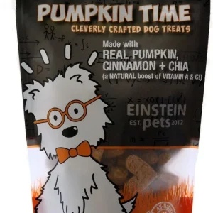 Einstein Pets Juniors Pumpkin Time Chewy Dog Treats - 2 oz Bag