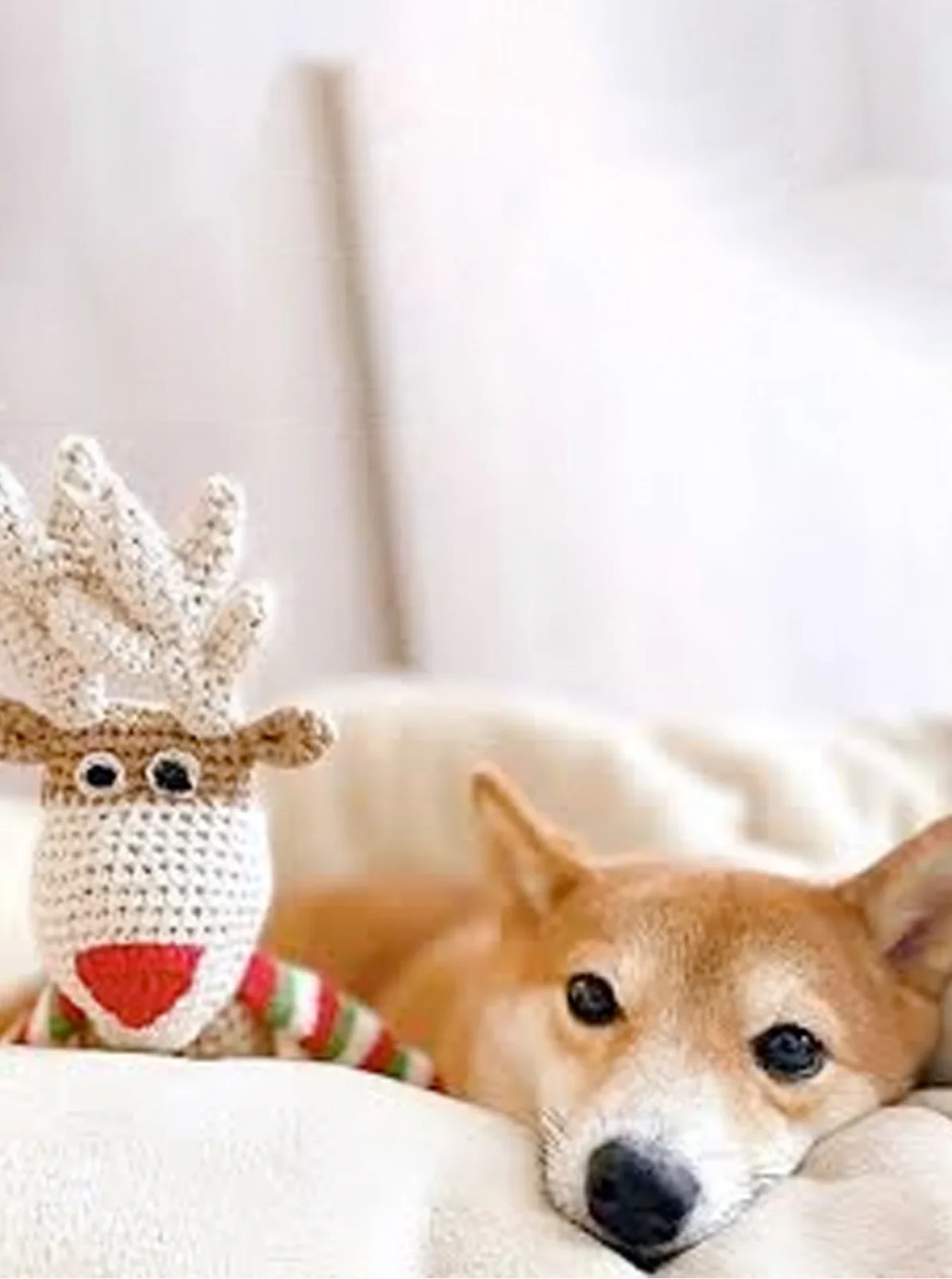 REINDEER CROCHET DOG TOY - Image 2