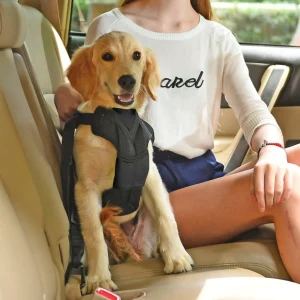 Pet Life ® 'Road-To-Safety' Pet Dog Carseat Harness Securer w/ Detachable Swivel Hook