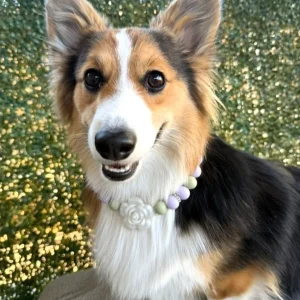 Clover Beaded Collar