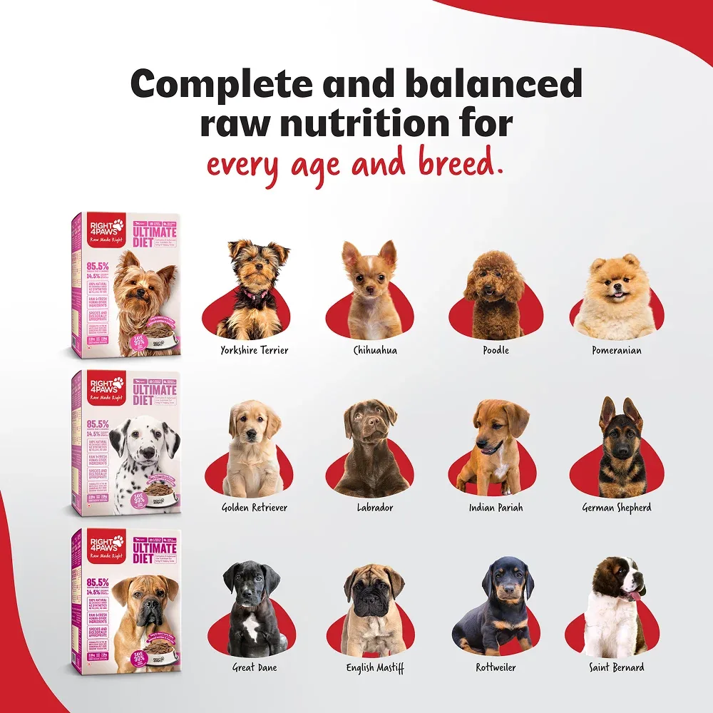 Right4Paws Ultimate Diet Taster Pack Puppy Dog Dry Food - Image 2