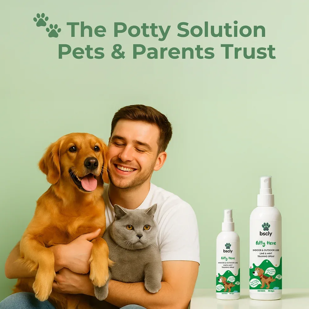 Bscly Fresh Mint Oral Spray for Dogs and Cats - Image 2