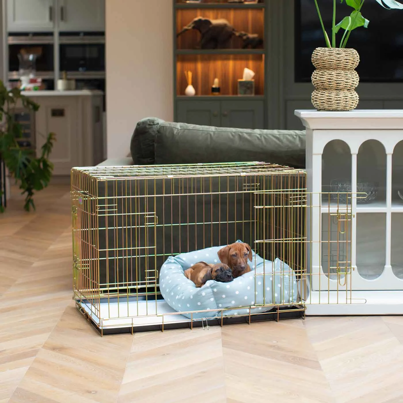 Dog Crate with Cosy & Calming Puppy Crate Bed in Duck Egg Spot by Lords & Labradors