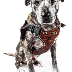 PETKIT ® 'AIR' Quad-Connecting Cushioned Chest Compression and Reflective Breathable Premium Safety Mesh Pet Dog Harness