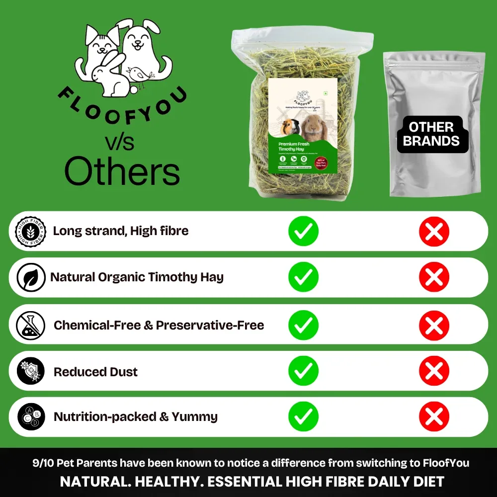 FloofYou Premium Timothy Hay for Rabbits, Guinea Pigs and Hamsters - Image 2