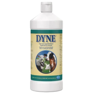 PetAg Dyne High Calorie Liquid Nutritional Supplement for Livestock