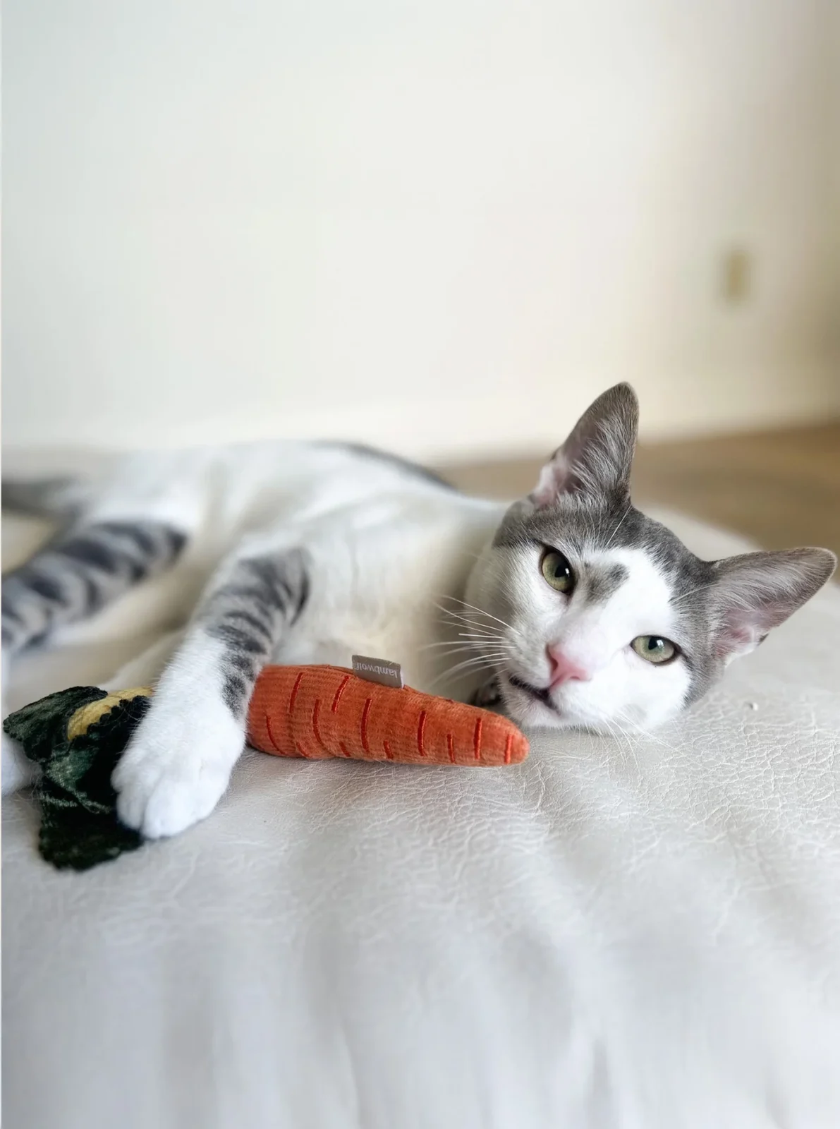 BABY CARROTS CATNIP TOY - Image 2