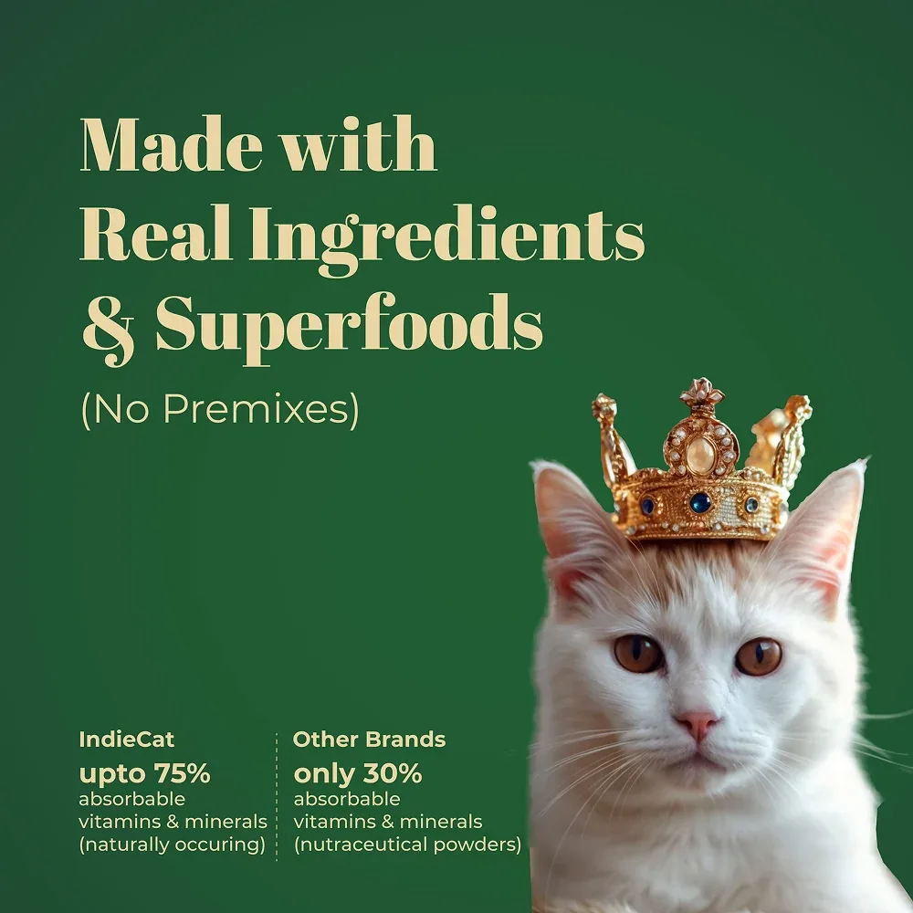 IndieCat Royal Glow Mackerel Fish Adult Cat Wet Food - Image 2