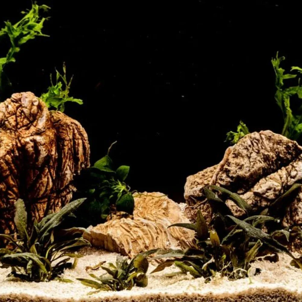 Splashy Fin Elephant Rock for Aquarium - Image 2
