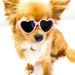 Tiny Dog Heart Sunglasses in Light Pink