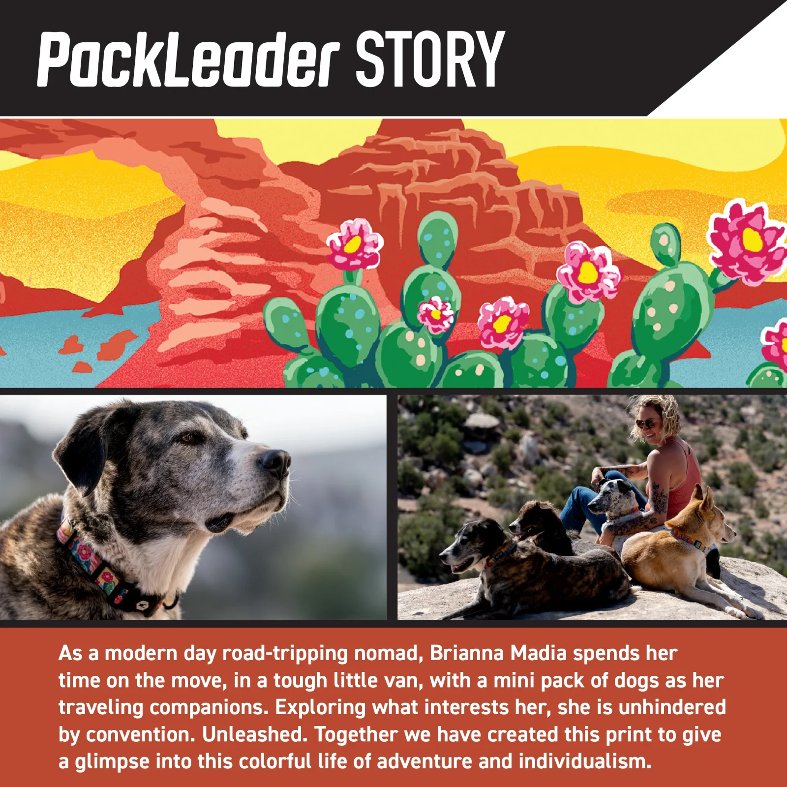 PackLeader Dog Collar - Image 2