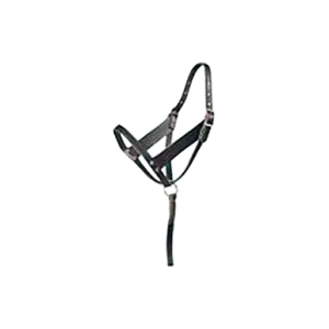 Foal Halter