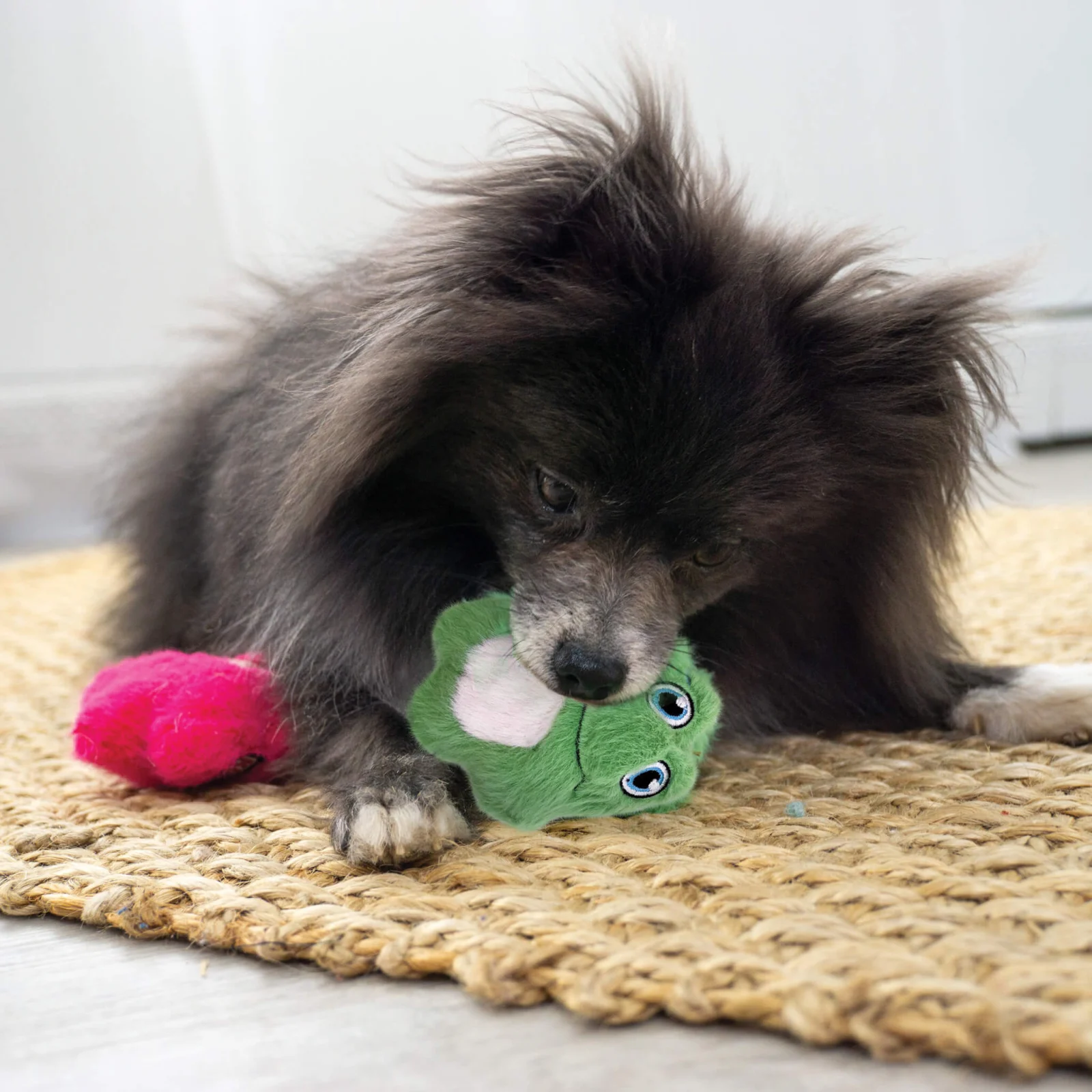 KONG Snuzzles Plush Dog Squeak Toys - Image 2