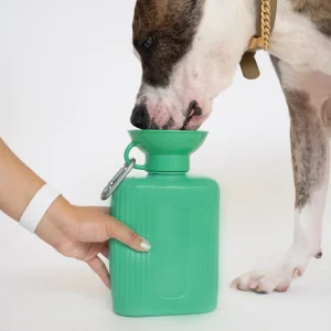 Springer Growler 44oz