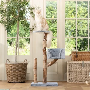 Back to Nature The Trio Cat Scratch Tree