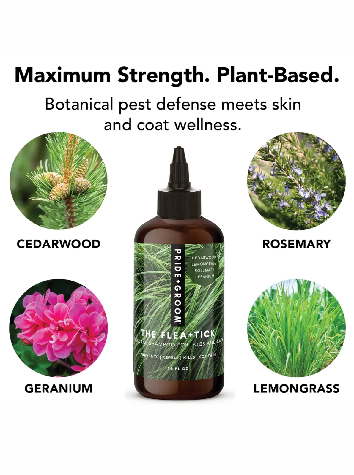 NATURAL FLEA+TICK SHAMPOO - Image 2